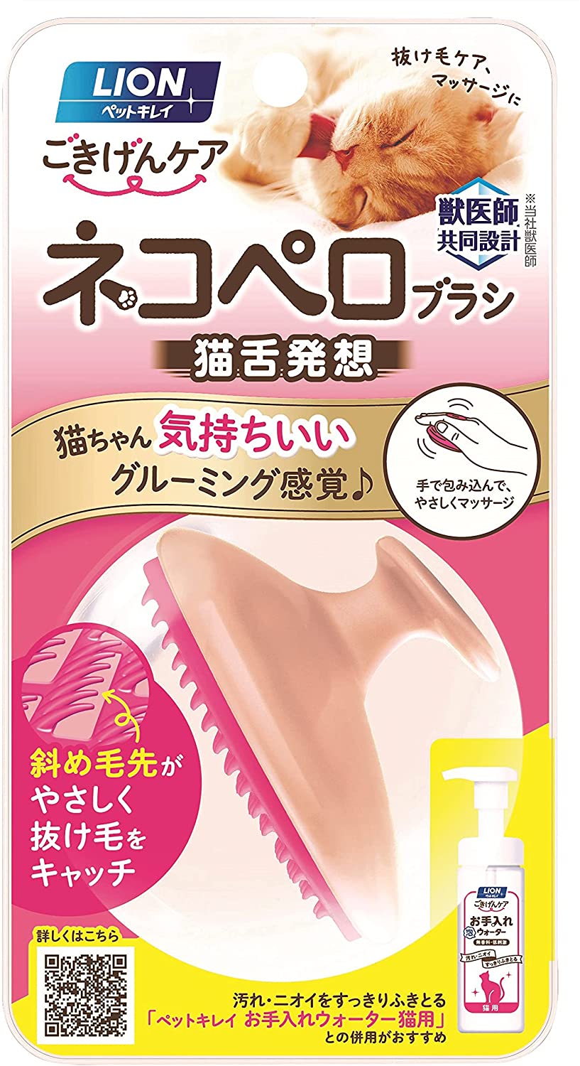 正面画像
