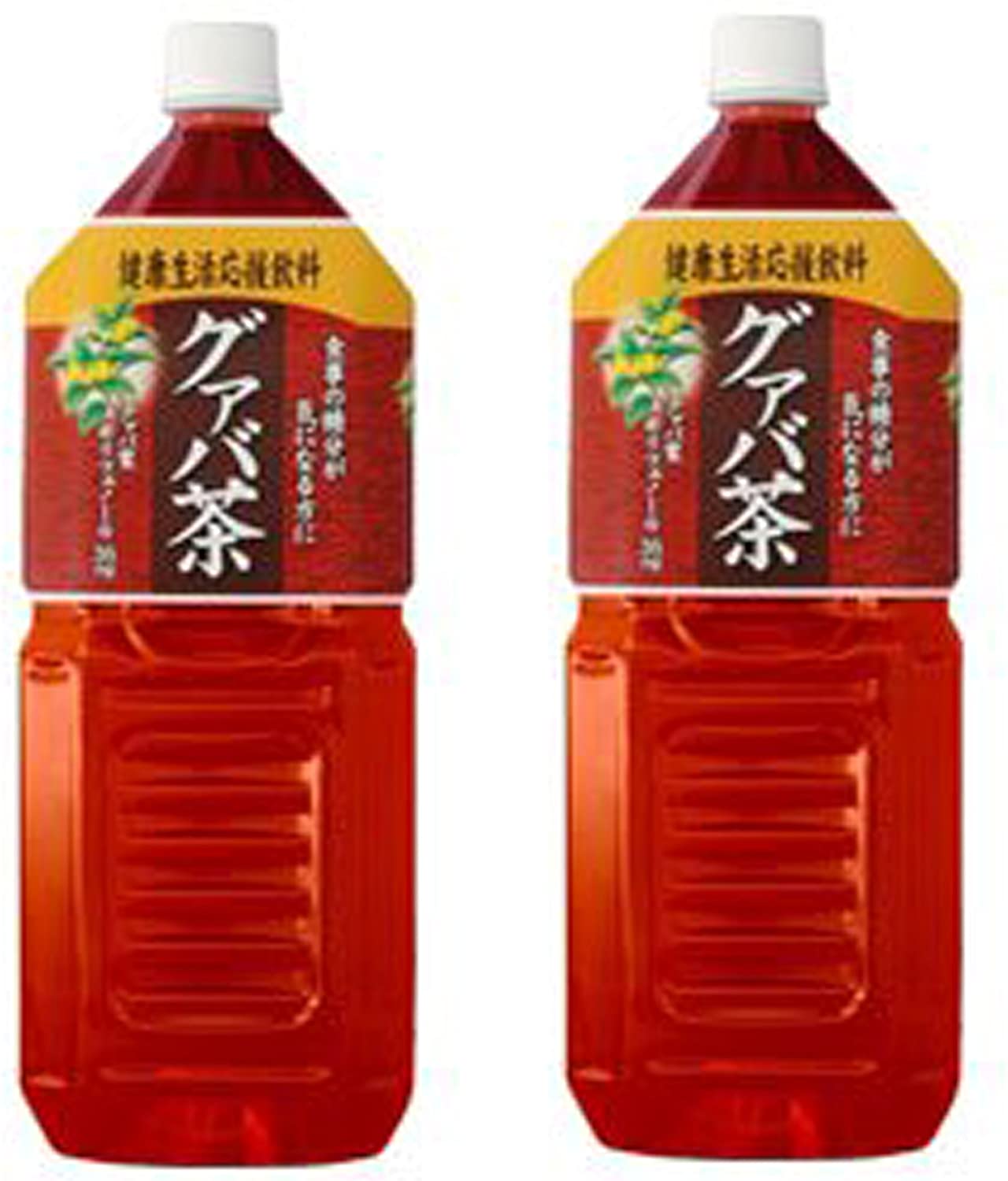 正面画像