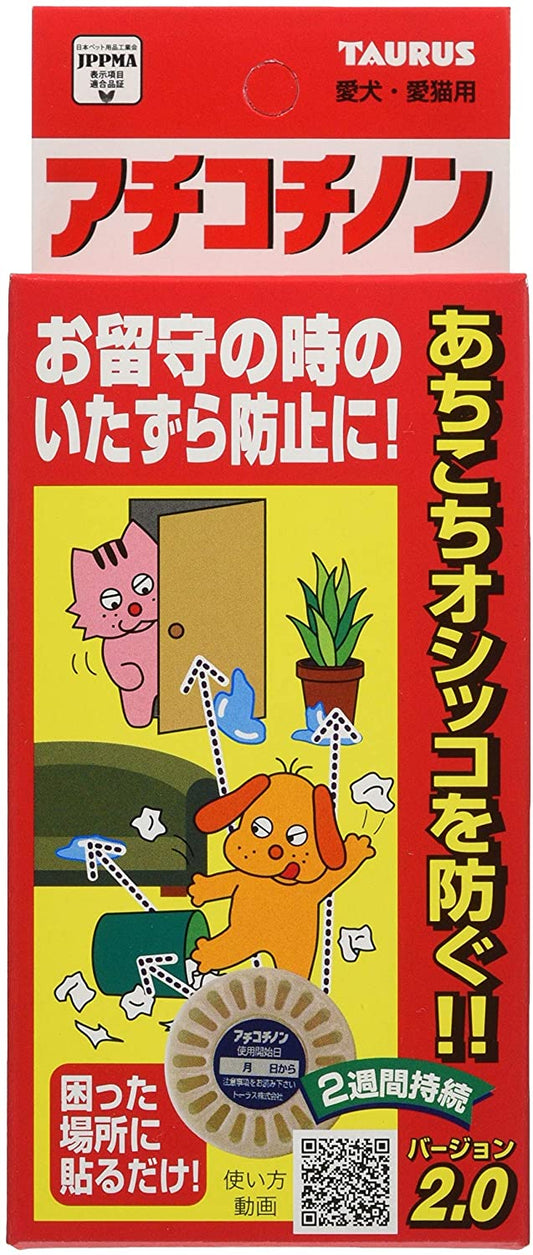 正面画像