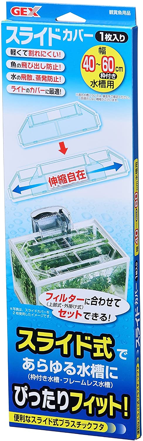 正面画像