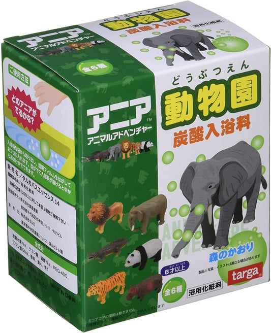 正面画像