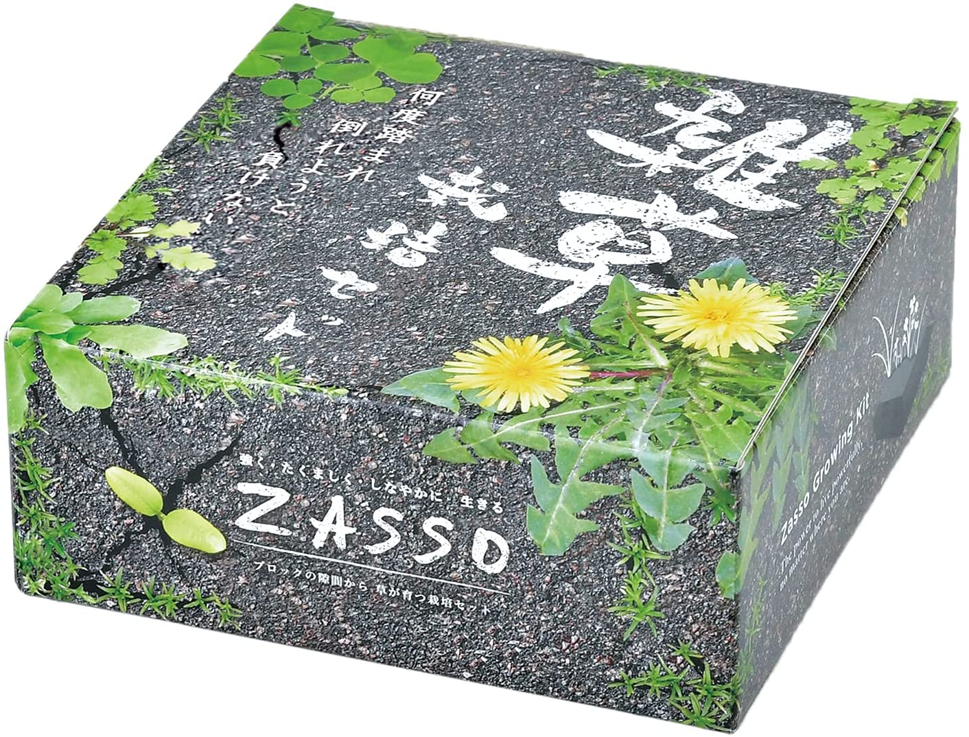 正面画像