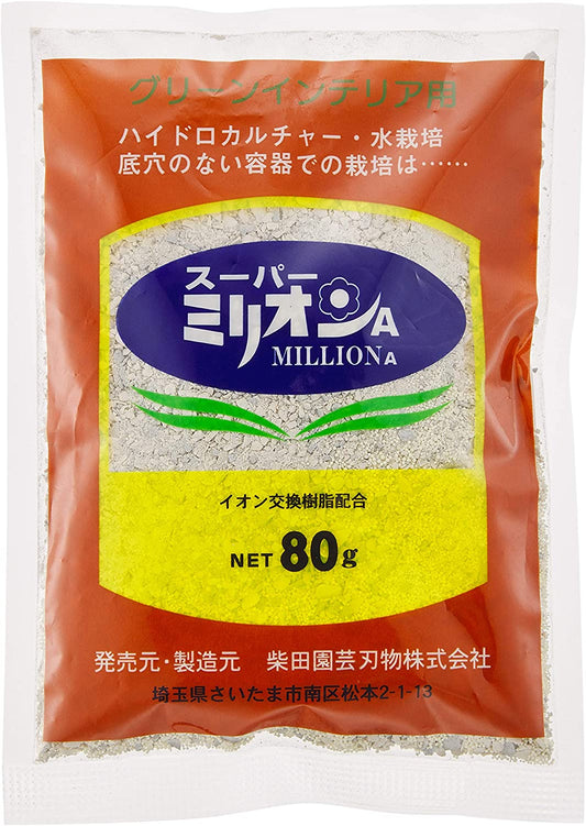 正面画像