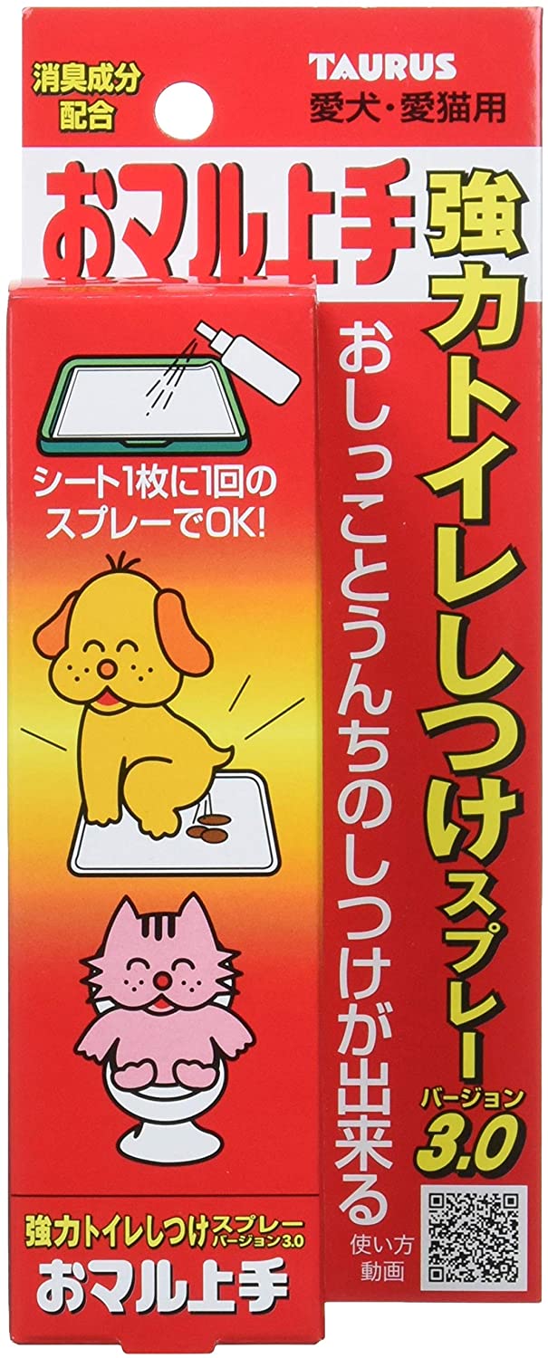 正面画像