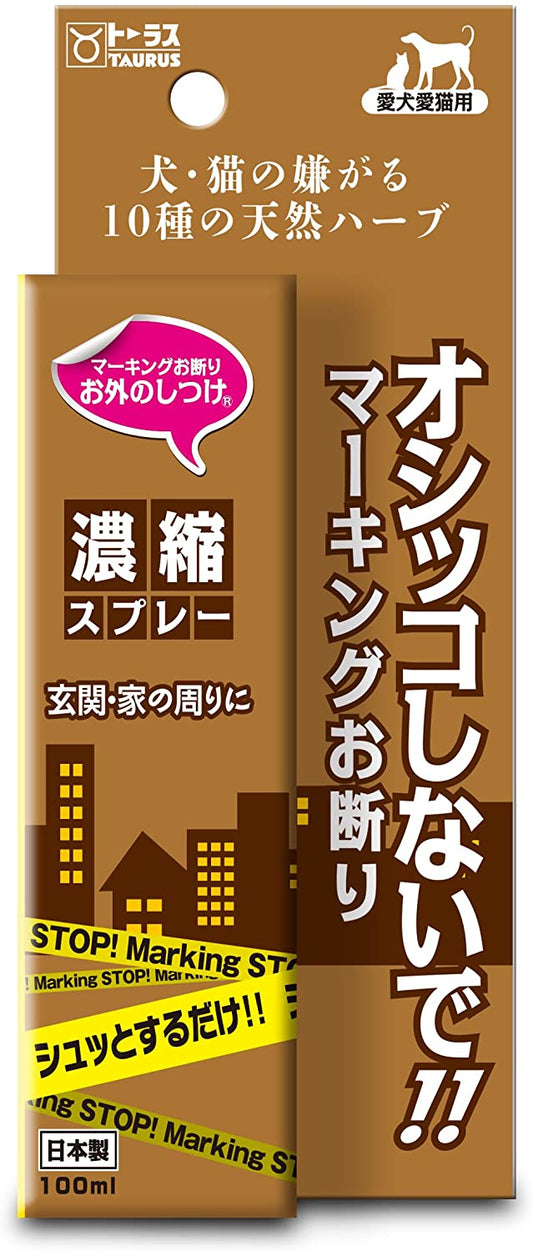 正面画像
