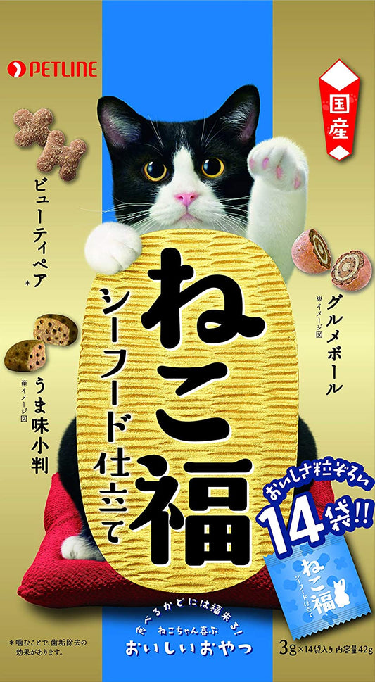 正面画像