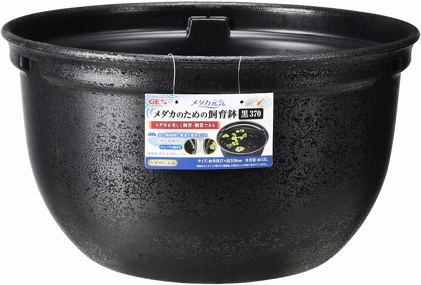 ジェックス メダカ元気 メダカのための飼育鉢 黒370