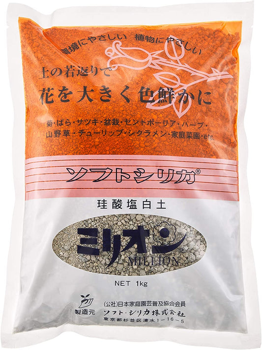 正面画像