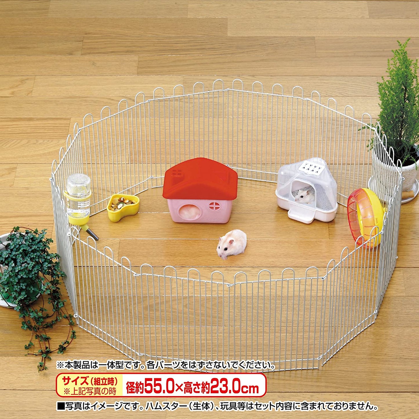 ジェックス ジャンガリアンのプチサークル