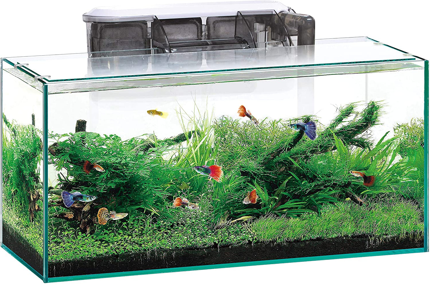 ジェックス グラステリアスリム450 6点セット水槽 奥行スリム