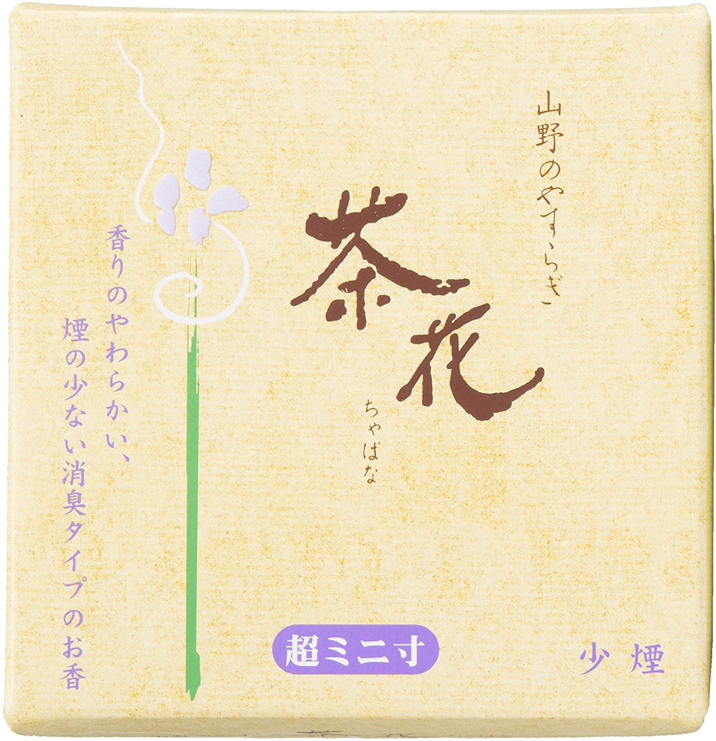 正面画像
