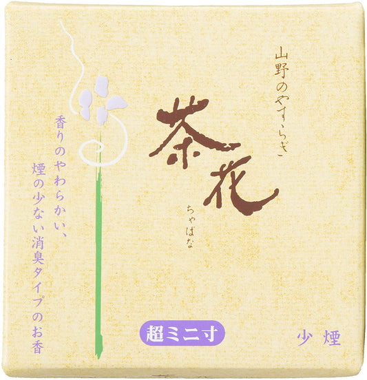 正面画像