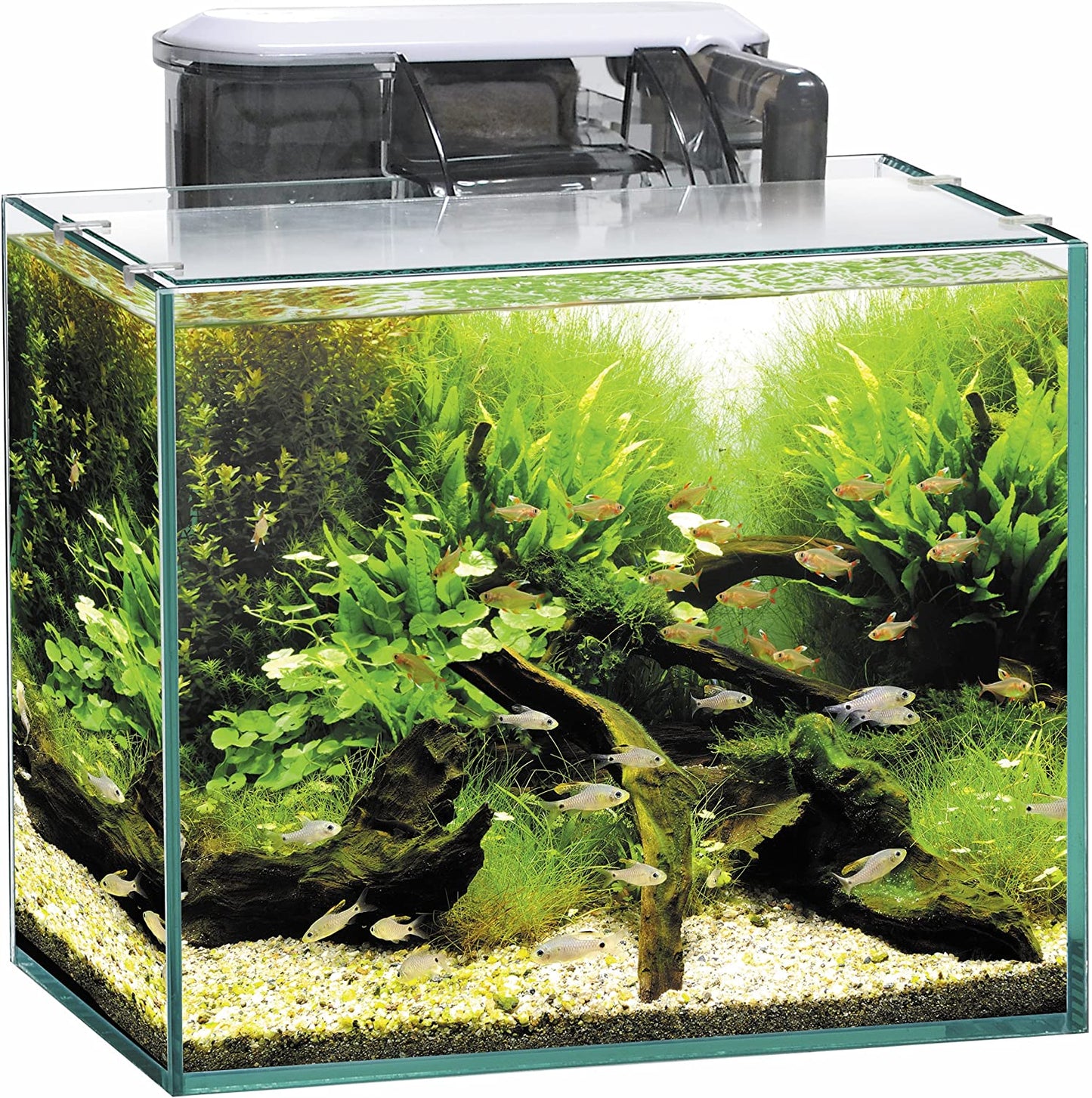 ジェックス グラステリア250 6点セット フィルター付